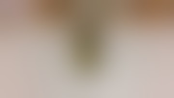 Compilation of FXguru effects made on IPad