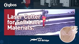 Camera Positioning Laser Cutting Machine for Soft Lace Materials. screenshot 5