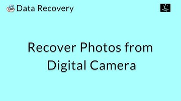 Data Recovery (Mac): Recover Deleted Photos from a Digital Camera