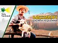 Mazzaropi - Casinha Pequenina - Filme Completo - Filme de Comédia | Tela Nacional