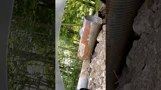 wildboyz1204 checking out storm damage in roan mountain Tennessee please subscribe and like