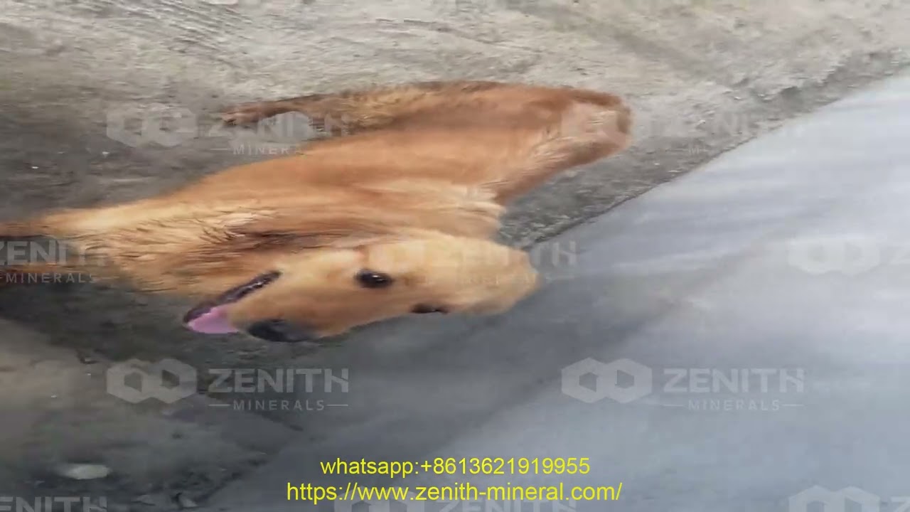 european version of the crusher models