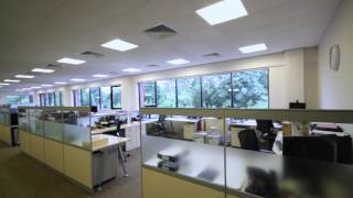 Serena Software, St Albans, Herts