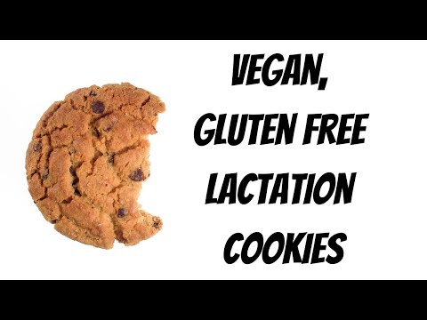 Vegan, gluten free lactation cookies - Oatmeal Chocolate chip