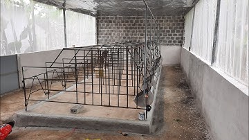 chia sẻ cách làm chuồng 10 nái chi phí thấp cho người mới nuôi