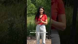Как правильно высадить деревья на участке? IN GARDEN SIBERIA #ландшафтныйдизайн #садоводничество