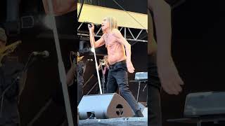 Red Hot Chili Peppers Old Friend Iggy Pop When Bones Move Like Poetry On Fire