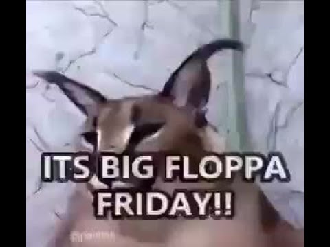 Floppa Gaming on X: Floppa friday Pog pls spam floppa memes to