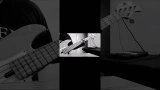Fav intro Weather Report Jaco Pastorious bass solo Portrait of Tracy live @weatherreportmusic