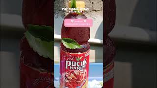 Disy Nuraini sopian iklan teh pucuk 88