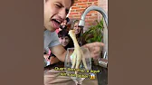 Quem derramar bebe água do pé de galinha!?