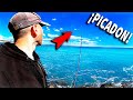 Picadaa 9 capturas 2 buensimas surfcasting espign