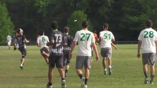 USF Scallywags 2016 Highlight Video