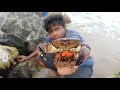 பாறை நண்டு வேட்டை|Red Rock Crab Hunting and Cooking|Hunting Crab