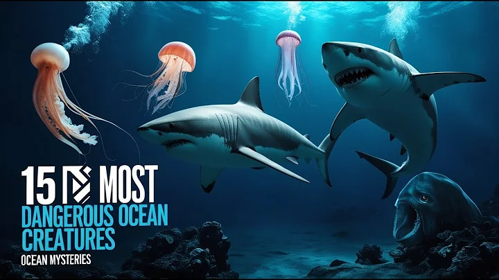 15 Most Dangerous Ocean Creatures in the World | Ocean Mysteries 921