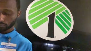 I Almost Quit My Jobs!