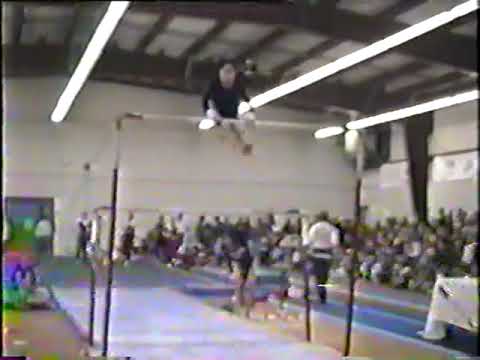 1995 Canadian Women S Gymnastics Pan Am Games Team Trials Optional