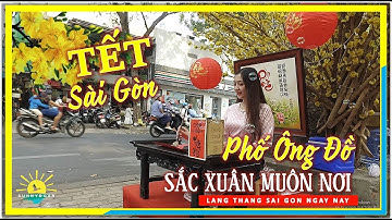 Tết Sài Gòn ✅ PHỐ ÔNG ĐỒ Sắc Xuân Muôn Nơi | lang thang Sài Gòn