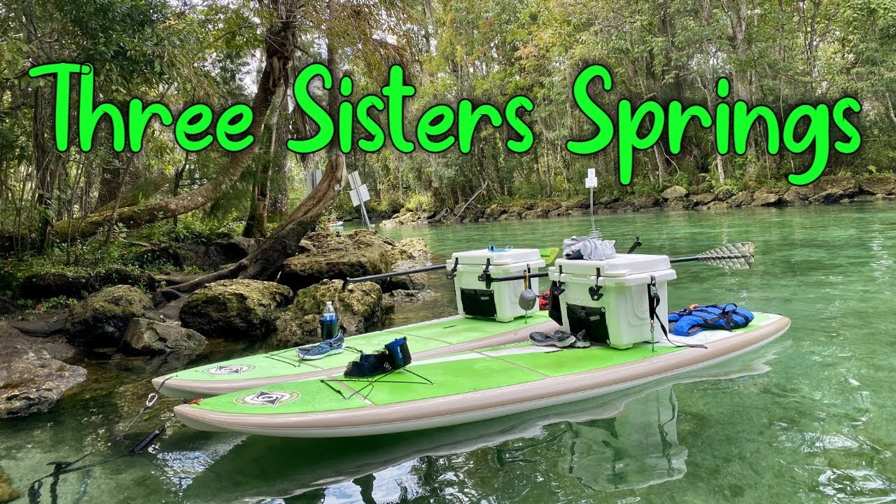 Paddle Boarding In Crystal River's Three Sisters Springs YouTube