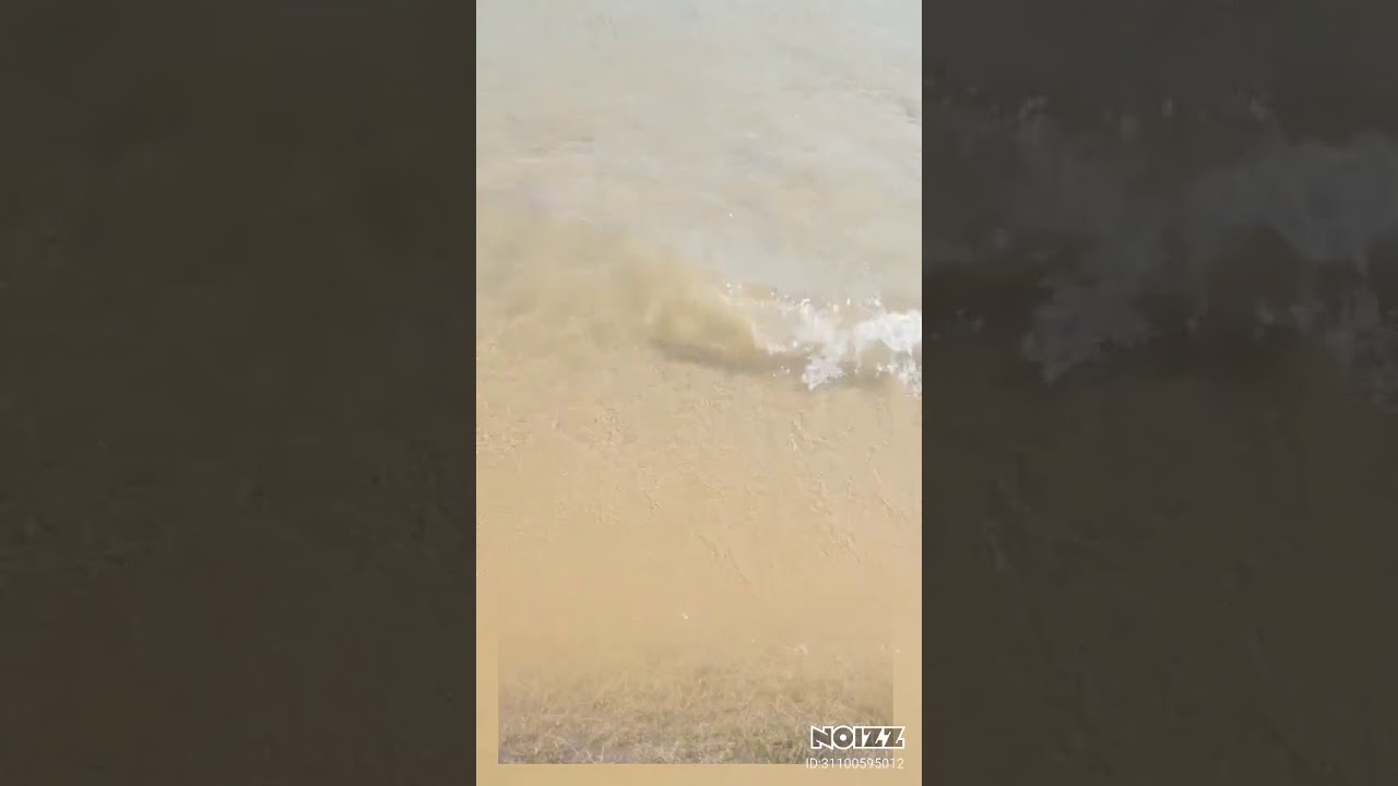 Pecininha amor bom pra gente namorar