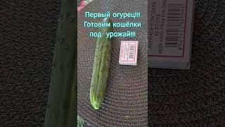 #bulgaria #болгария #българия #первыйпощёл # огурцы #крастовици #рекомендации #recommendation