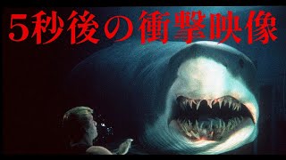海に飛び込んだらサメが…サメに襲われる衝撃のホラーゲーム【コメ付き】 screenshot 1