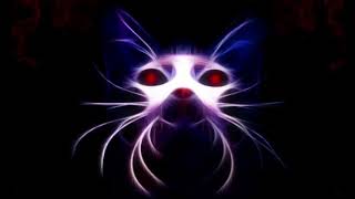 Darkforce - TORNADO (Original Mix)