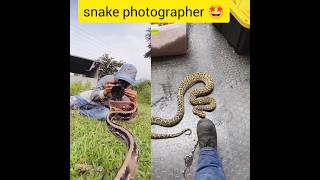 Snake   Snake Sounds sap snake sort short cobra dinosaurs crazyxyz viral