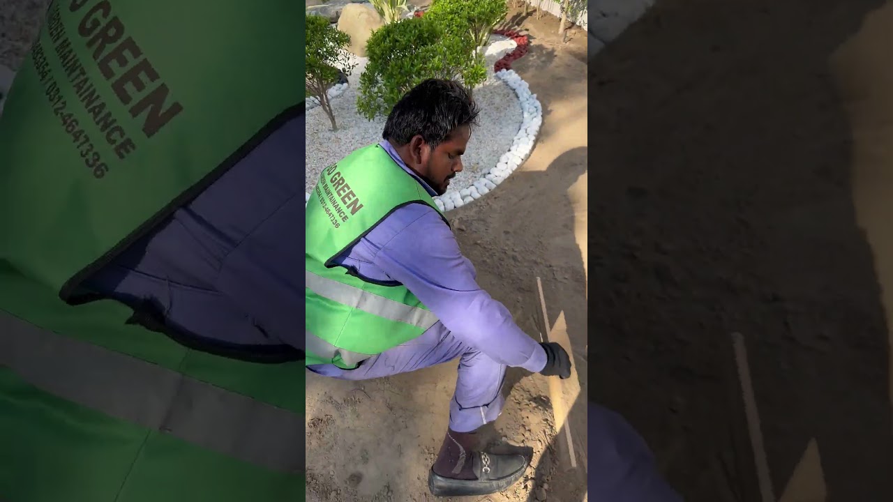 Beautiful Lawn Transformation | Landscape Project | Go Green Premium