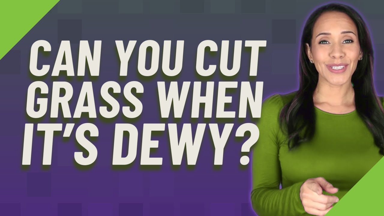 Can You Cut Grass When It s Dewy YouTube can-you-cut-grass-when-it-s-dewy-youtube