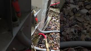 air conditioner making “buzzing” sound.