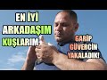 EN İYİ ARKADAŞIM KUŞLARIM: GARİP GÜVERCİN YAKALADIK - MAVİŞ