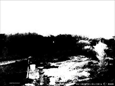 Big Ass Bigfoot Caught On Camera Fake Or Real 