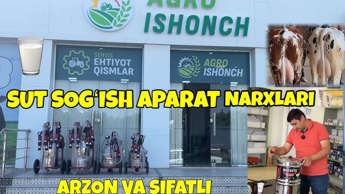 Mezhyhirya, Transcarpathian viloyatida jinsiy aloqa uchun qiz qidirmoqda