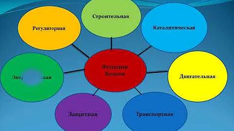 Физиология микроорганизмов