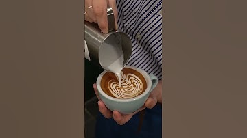 Swan 🦢 Latte Art | Coffee Art [Barista:- @Lattenista]