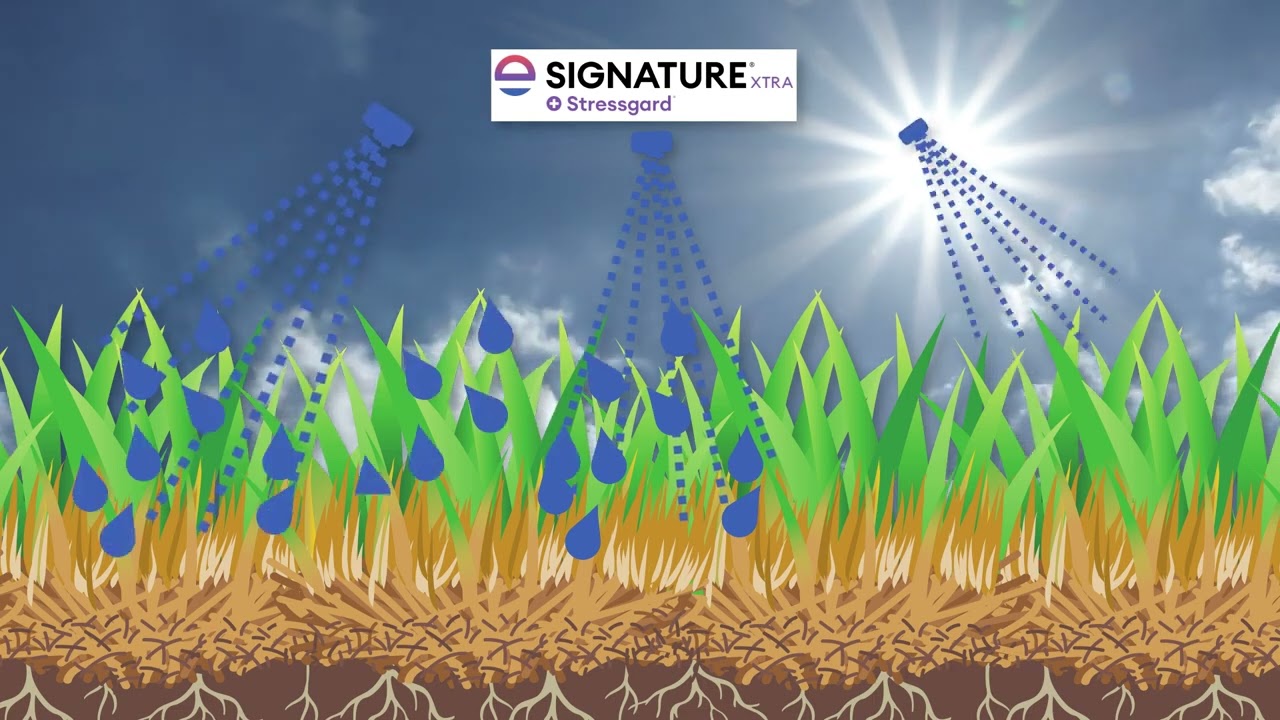 Managing Turf Stress with Signature Xtra Stressgard