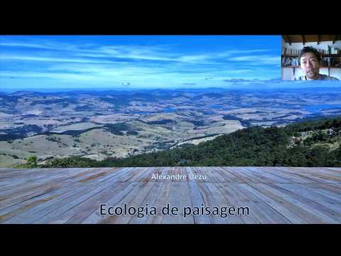 Vídeo: Comportamento Da Fidelidade Da Toca De Neohelice Granulata Relacionado à Heterogeneidade Da Paisagem