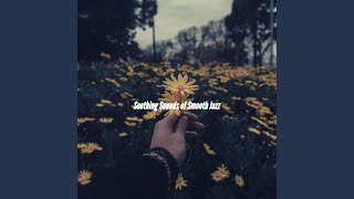 Calm Moods for Summer Changes