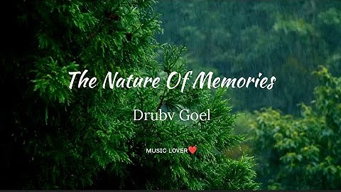The Nature Of Memories - Dhruv Goel | relaxing music |