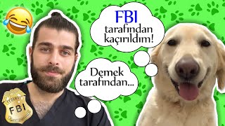 Komik Köpek Leydi Ile Eğlenceli Dakikalar