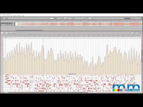 Melodyne 4 Tempo Detection | Candi Staton "Too Hurt To Cry"