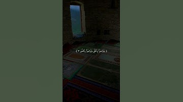 سورة العصر 🤍 #قرآن_كريم #قران_صلي_علي_النبي #ماهرالمعيقلي #foryou #quran #ارح_قلبك #ارح_سمعك #viral