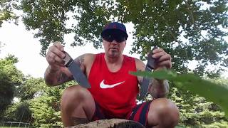 Esee 6 VS Ontario RAT 7 Update