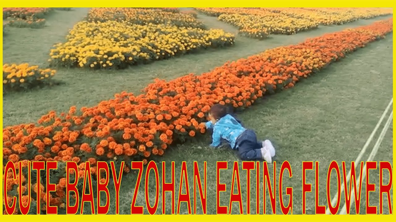 BABY EATING FLOWER IN PARK CUTE BABY CRAWLING IN PARK CUTE BABY