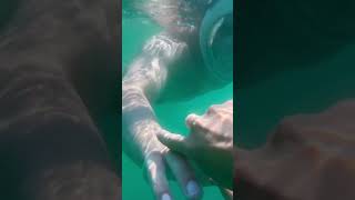 Decathloneasybreath Subea Yetişkin Keşif Maskesi I Şfet