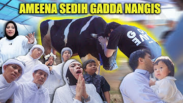 DETIK2 KEPERGIAN SAPI KESAYANGAN AMEENA😭GEN HALILINTAR ATTA AUREL GAK KUAT NAHAN NANGIS