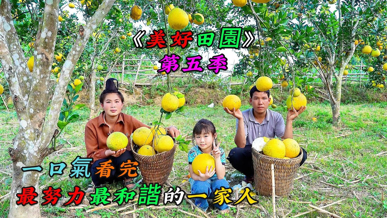 一口氣看完，最努力最和諧的一家人《美好田園》第五季（16-19）