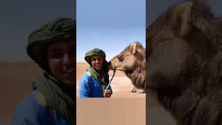 Dénicher Des Lieux Qui Se Caractérisent Par Leur Supplément Dâme.