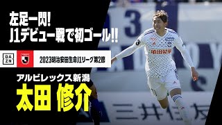 【速報】太田 修介（アルビレックス新潟）J1デビュー戦で初ゴール！｜2023明治安田生命第2節 サンフレッチェ広島×アルビレックス新潟